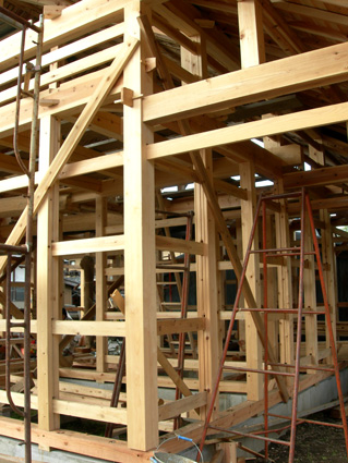 DSCN6174.jpg