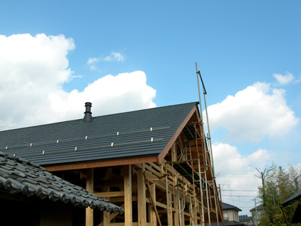 DSCN6180.jpg