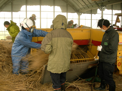 DSCN6237.jpg