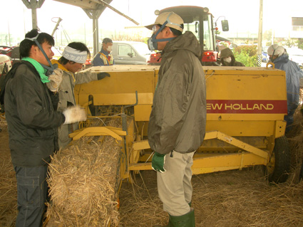DSCN6238.jpg