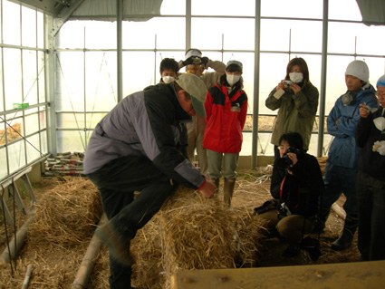 DSCN6242.jpg