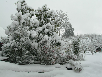 DSCN6337.jpg