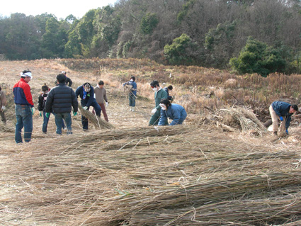 DSCN6394.jpg