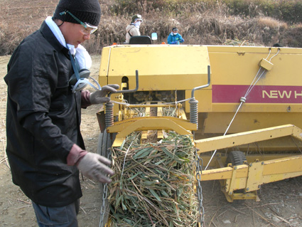 DSCN6395.jpg