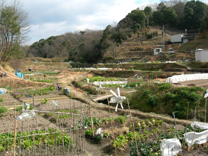 DSCN6399.jpg