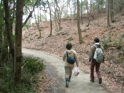 DSCN6400.jpg