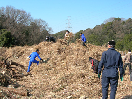 DSCN6415.jpg