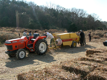 DSCN6425.jpg