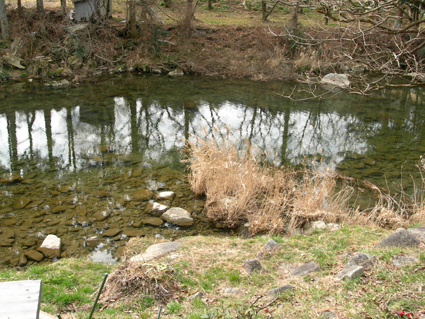 DSCN6500.jpg
