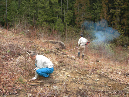 DSCN6718.jpg