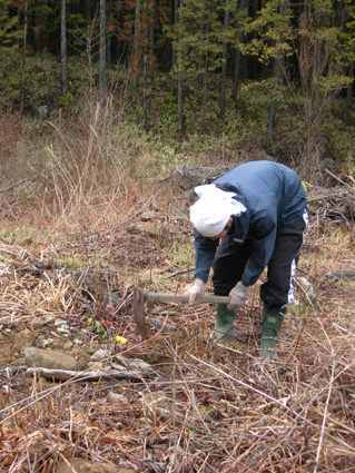 DSCN6719.jpg