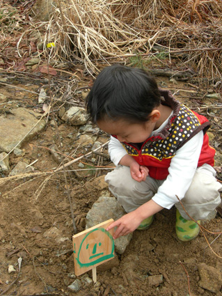 DSCN6727.jpg
