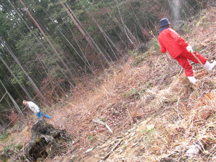 DSCN6734.jpg