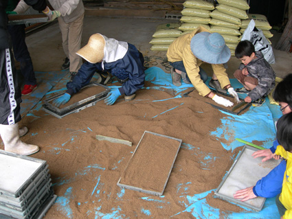 DSCN6777.jpg
