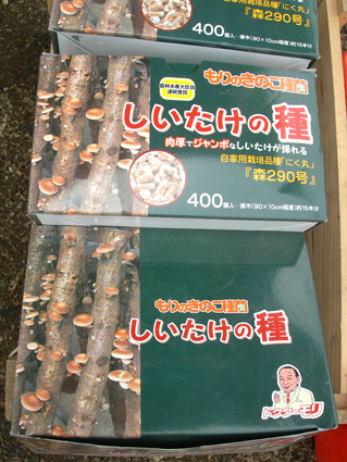 DSCN6906.jpg