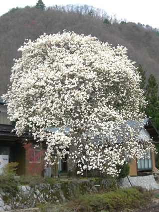 DSCN6919.jpg