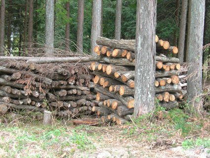 DSCN6923.jpg