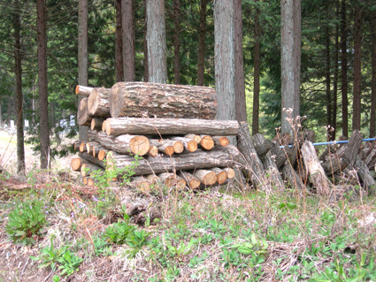 DSCN6924.jpg