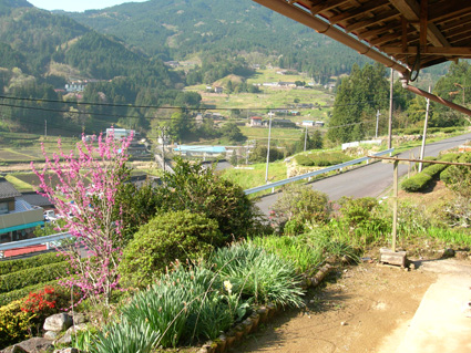 DSCN6981.jpg