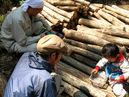 DSCN7079.jpg