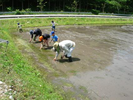 DSCN7240.jpg