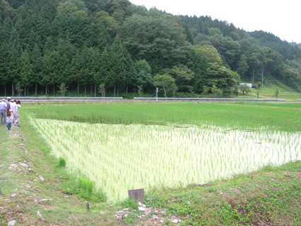 DSCN7411.jpg