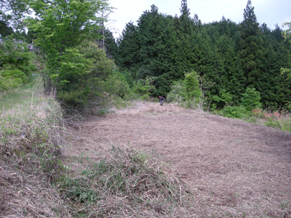 DSCN9963.jpg