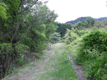 DSCN9966.jpg