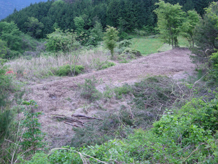 DSCN9970.jpg
