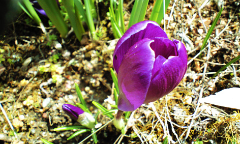 PAP_0644.jpg