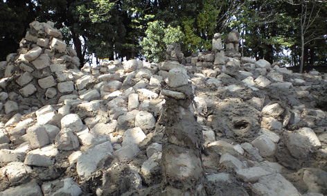 PAP_0795.jpg