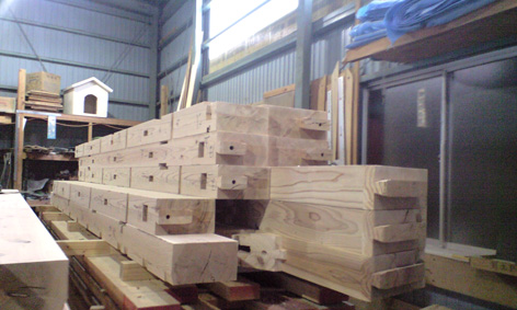 PAP_0800.jpg