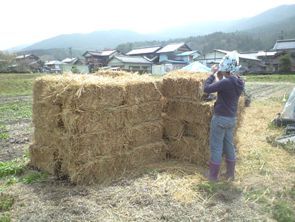 PAP_0936.jpg