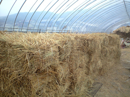 PAP_0937.jpg