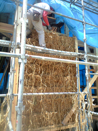 PAP_0973.jpg