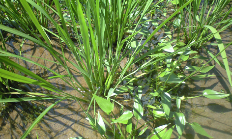 PAP_1061.jpg
