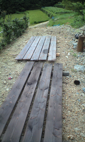PAP_1113.jpg